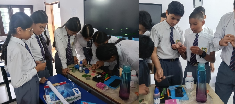 Leaf Science Experiment in Dehradun Schools