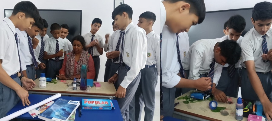 Leaf Science Experiment in Dehradun Schools