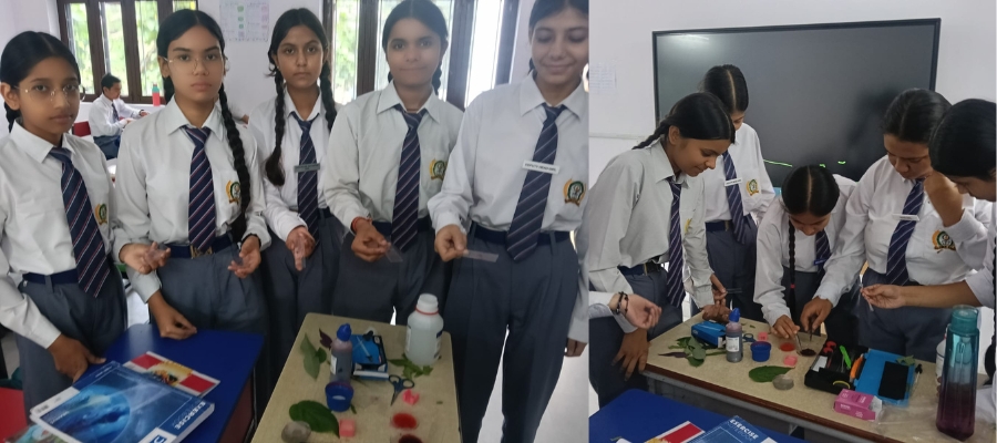 Leaf Science Experiment in Dehradun Schools