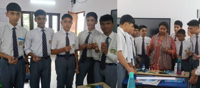Leaf Science Experiment in Dehradun Schools