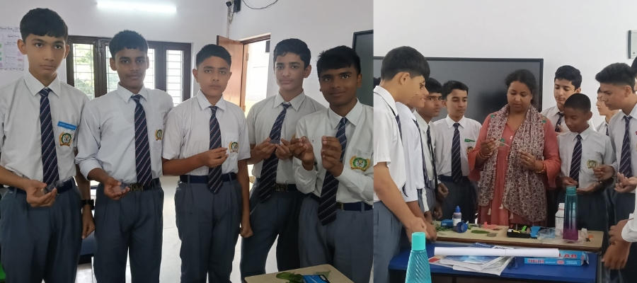 Leaf Science Experiment in Dehradun Schools