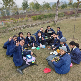 Picnic image 2